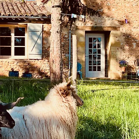 Sivade - Vue Epique - Grand Jardin Cloture *