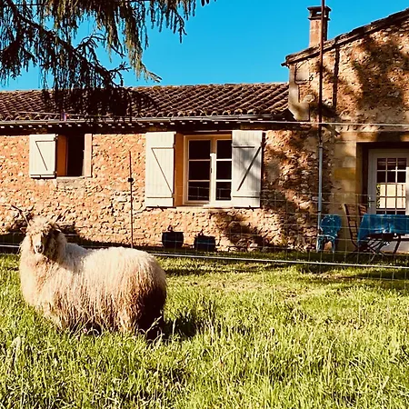 Sivade - Vue Epique - Grand Jardin Cloture *