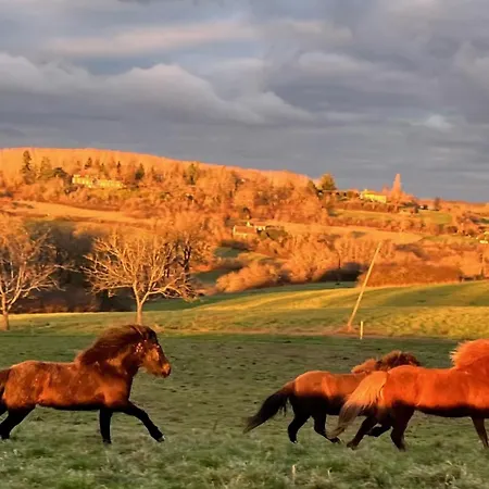 Sivade - Vue Epique - Grand Jardin Cloture Lejlighed